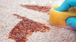 5 steps to spot clean carpet