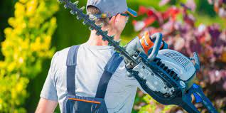 sharpen hedge trimmers with dremel