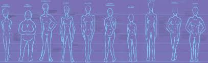 Female Body Type Chart