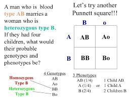 Students will be able to construct multiple punnett squares and determine the probability that 1. Punnett Square Notes Gregor Mendel Father Of Genetics