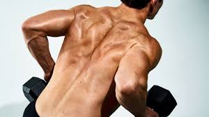 a picture of a man s back during an exercise