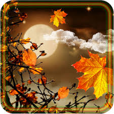 Image result for autumn moon images