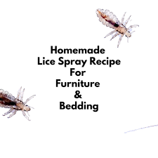 homemade lice spray for furniture and