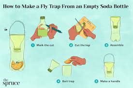 fly trap from an empty soda bottle