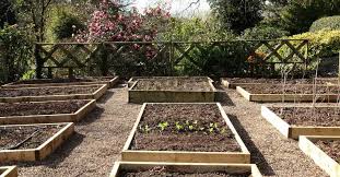 Soil Amendments For Raised Garden Beds