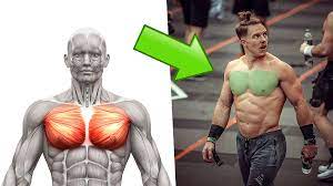 isolate the chest for growth