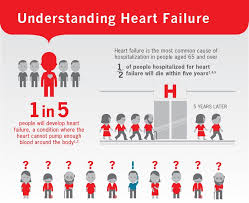 CHFCaseStudy   Congestive Heart Failure Case Study Objectives At     Course Hero 