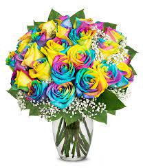 We did not find results for: Two Dozen Rainbow Roses At From You Flowers