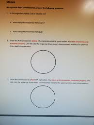 .mitosis coloring, meiosis and mitosis answers work, biology 1 work i selected answers, cell division occurs in a series of stages or, mitosis student activity lesson plan, meiosis matching work. Answered Draw The Condensed Chromosomes Bartleby