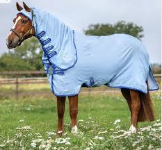 horsewear amigo pony ripstop hoody fly rug