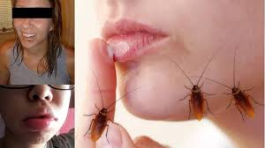 how to treat the roach bite on lip