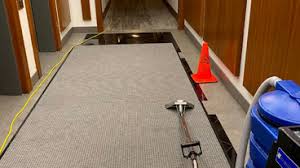 best 15 carpet cleaners in toronto on