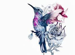 hummingbird tattoo images browse 5
