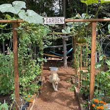 30 clever garden trellis ideas for your