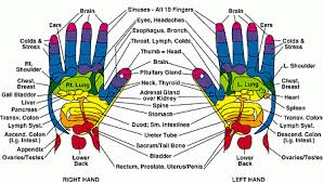 Foot Hand Reflexology Herb Shop Healing Center