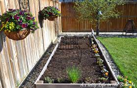 Vegetable Gardening In Raised Beds