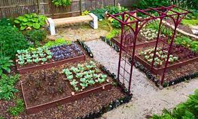best 20 vegetable garden design ideas