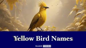 yellow bird names 711 cute names for