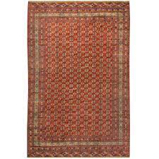 antique bokhara wool rug