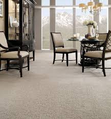 best carpet for your living e