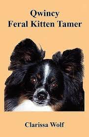 Qwincy Feral Kitten Tamer by Clarissa Wolf | Goodreads