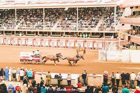This post (probably) contains affiliate links, including amazon associates links, and i may receive a small commission if you make a purchase after clicking through one. A Guide To Calgary Stampede Everything You Need To Know Laidback Trip
