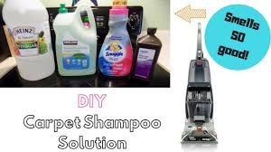 diy carpet cleaning solution