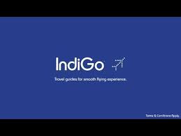 indigo book a flight you
