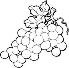 In coloringcrew.com find hundreds of coloring pages of grapes and online coloring pages for free. Pin On Flora And Fauna