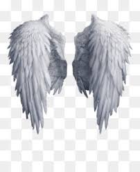 Are you looking for wing angel design images templates psd or png vectors files? Angel Wings Png White Angel Wings Baby Angel Wings Pink Angel Wings Blue Angel Wings Angel Wings Outline Angel Wings And Halo Fallen Angel Wings Angel Wings Drawing Angel Wings Silhouette