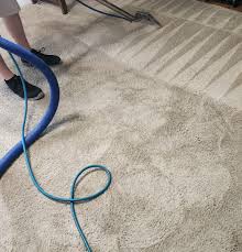 carpet cleaning lexington sc