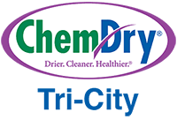 carpet cleaning allentown pa chem dry
