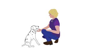 If you would like more information please get in. Paws In Hand Dog Training And Behaviour Online Puppy And Dog Training Classes