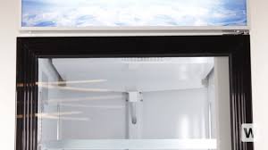 avantco merchandising refrigerators