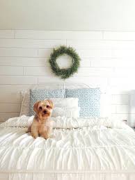 All You Need Is A Puppy And Shiplap