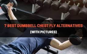 7 best dumbbell chest fly alternatives
