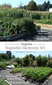 Organic Vegetable Gardening Guide 101