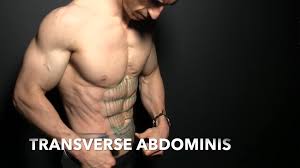 abs workouts best exercises for