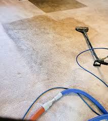 carpet cleaning services in grants p