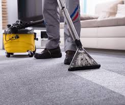 professional carpet cleaning removes