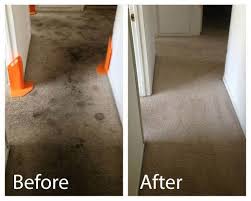 carpet cleaning tremonton ut chem