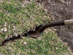 Easiest Way To Dig Up Grass Lynda Makara