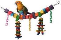 bird toys latest from