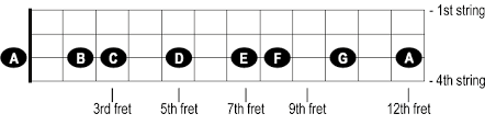 Notes On The Neck Of The Bass Cyberfretbass Com