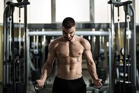 is muscle protein synthesis the same as