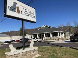 Retail clinics are inside stores and pharmacies and care for minor illnesses. Asheville Nc Hospitals Medical Care Animal Hospitals Freestone Properties