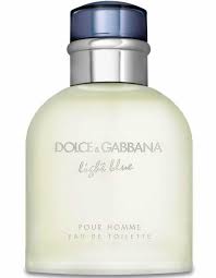 Dolce Gabbana Light Blue Cologne 4 2 Oz Edt Perfume Empire
