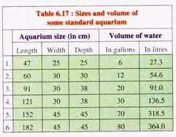 the aquarium set up requirements and