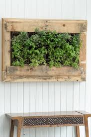 Livewall empowers building owners people surrounded by green wall plants experience improved mental and physical health, feel more content and relaxed, and are more creative. 16 Diy Indoor Plant Wall Projects Anyone Can Do Living Wall Ideas For Home Balcony Garden Web