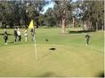 Wombat Golfers Everywhere at Paterson Golf Club | News - Jack ...